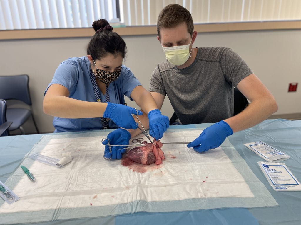 Two fellows practicing on an actual heart during a boot camp event.